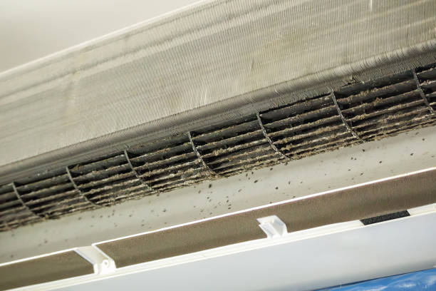 Best Best Air Duct Cleaning Company  in Tunica Resorts, MS