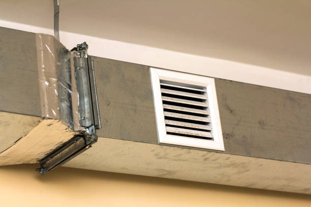 Air Duct Mold Removal in MS